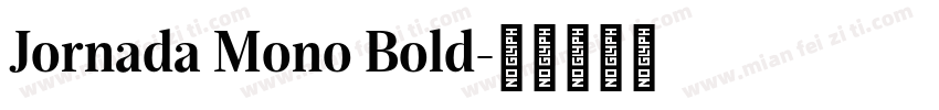 Jornada Mono Bold字体转换